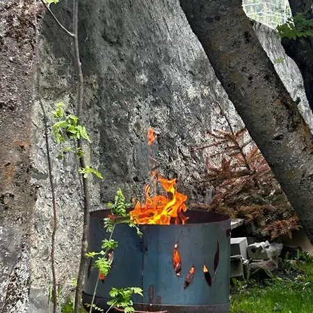 Chesa Dimvih *